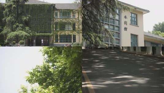 河海大学 南京 校园风景高清在线视频素材下载