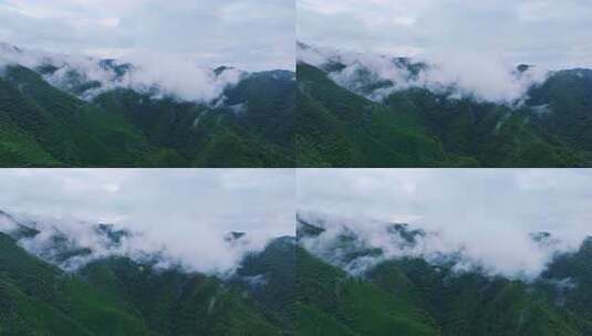 航拍山川云雾森林自然风光大气片头风景视频高清在线视频素材下载