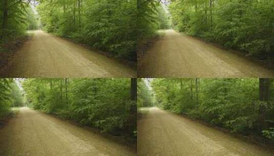 森林中的泥马路高清在线视频素材下载