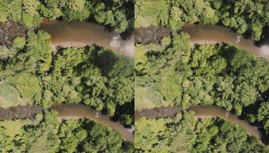 无人机航拍森林中的河流高清在线视频素材下载