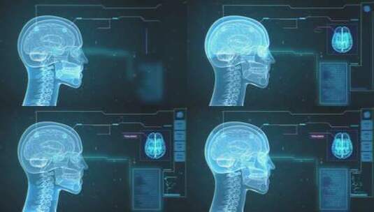 人体大脑骨骼数据分析高清在线视频素材下载