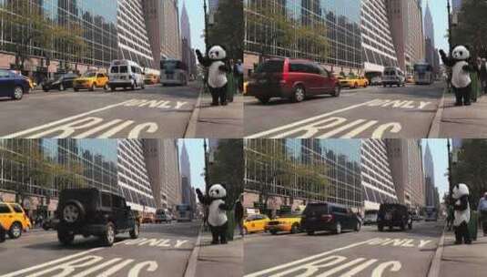 在路边一个穿熊猫服的人高清在线视频素材下载