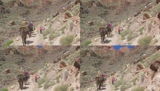 骑马队沿着小路到大峡谷的底部高清在线视频素材下载