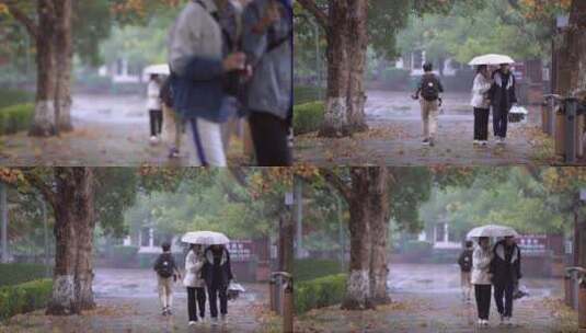 秋天情侣雨中散步逛公园高清在线视频素材下载