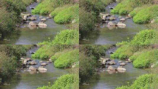 农村清澈小河自然美景高清在线视频素材下载