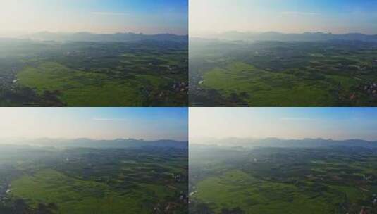 广西农村稻田自然大景航拍高清在线视频素材下载