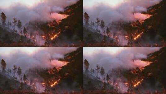 森林火灾自然灾害高清在线视频素材下载