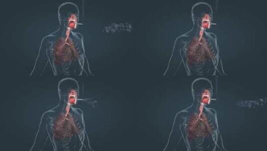 吸烟危害健康 三维人体解剖 肺癌 肺变黑高清在线视频素材下载