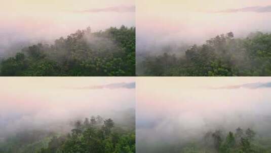 清晨大雾中的湖州安吉山区乡村航拍高清在线视频素材下载