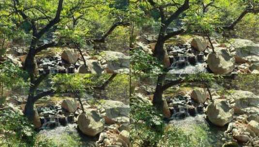 园林流动的溪水和森林绿植物高清在线视频素材下载