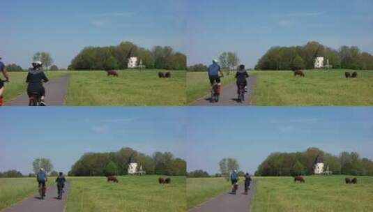 在大自然田野道路上骑车的夫妇高清在线视频素材下载