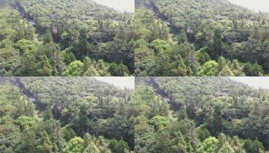 森林索道缆车航拍树林俯拍高清在线视频素材下载