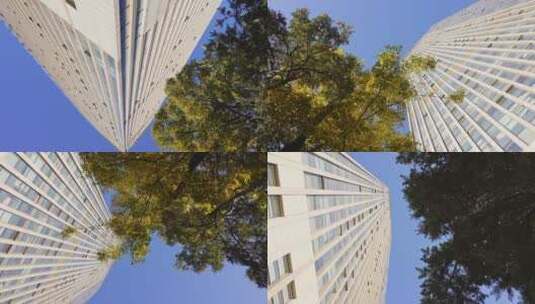 秋风扫落叶城市街景商业中心一角，视频素材高清在线视频素材下载