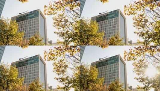 上海浦发银行大楼高清在线视频素材下载
