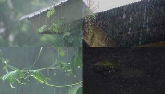 春天下雨唯美清新空镜雨景4k视频素材高清在线视频素材下载