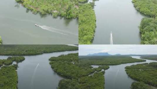 快艇雨林河流河面行驶航拍高清在线视频素材下载