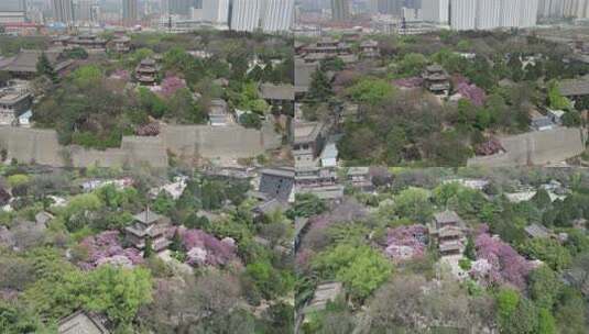 航拍青龙寺遗址樱花花海古建筑景观风光高清在线视频素材下载