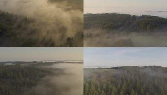 大兴安岭雾气森林云雾云海迷雾晨雾绿色森林高清在线视频素材下载