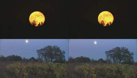 最美月亮高清在线视频素材下载