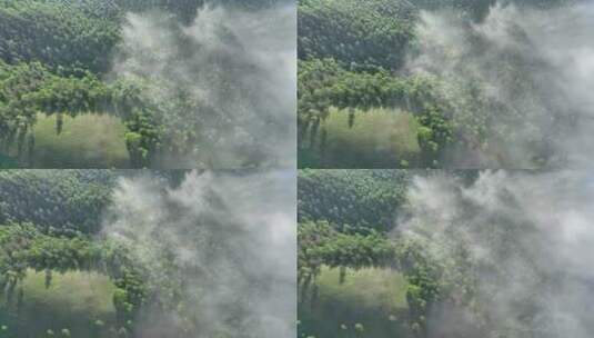 云雾迷漫光绿色山林高清在线视频素材下载