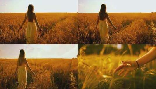女孩走在金黄色的麦田中高清在线视频素材下载