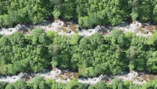森林高山溪水河流树林雨林岩石湖泊航拍素材高清在线视频素材下载