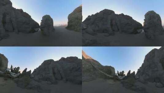 海滩上的岩石和枯木高清在线视频素材下载