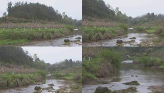 湖南花恒县桃花园流水高清实拍视频高清在线视频素材下载