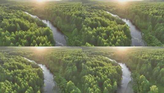 航拍阳光照耀的森林河高清在线视频素材下载