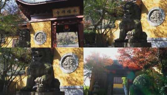 【合集】杭州永福寺红枫秋景高清在线视频素材下载