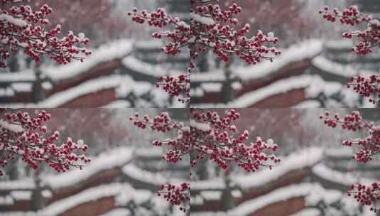 北京冬天雪景高清在线视频素材下载