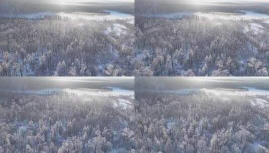 航拍林海雪原雪林风景高清在线视频素材下载