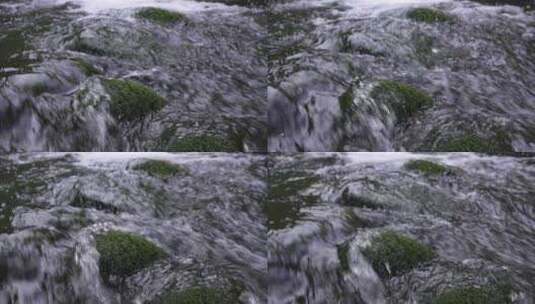 湖北恩施小溪河源头活水流淌青苔满地高清在线视频素材下载