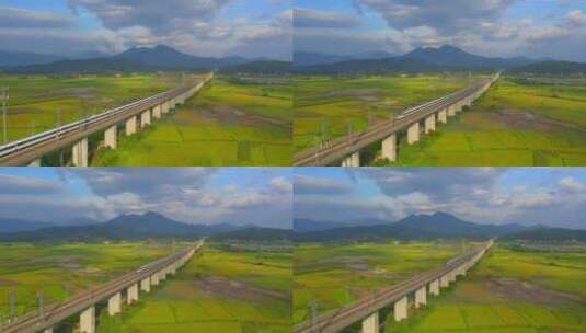 惠州高铁经过稻田进入隧道大景高清在线视频素材下载