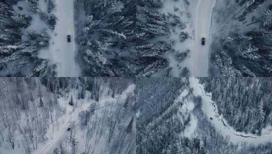 汽车行驶在雪景树林森林针叶林高清在线视频素材下载