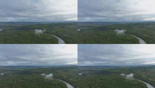 森林河谷自然风光高清在线视频素材下载