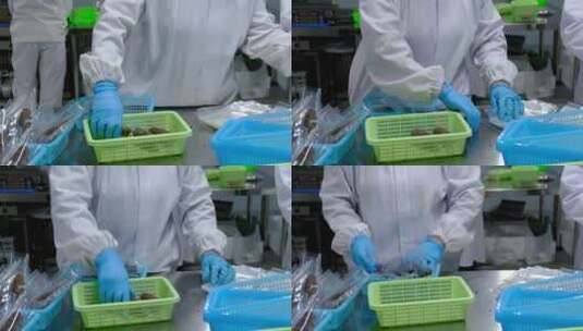 海参加工厂包装称重分拣即食海参实拍高清在线视频素材下载