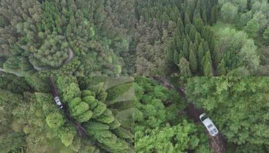 平坝区国营大坡林场房车自驾航拍高清在线视频素材下载