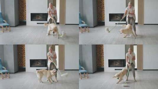 有趣的金毛猎犬帮助一个快乐的女人打扫房子高清在线视频素材下载