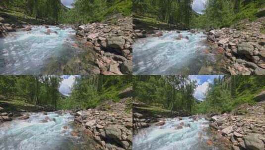 新疆天山峡谷原始森林的溪流高清在线视频素材下载