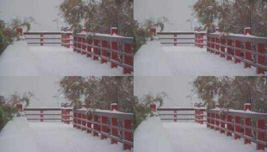 海边下雪高清在线视频素材下载