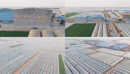 蔬菜种植产业基地航拍 现代化农业科技大棚高清在线视频素材下载