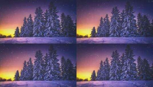 森林 冬季 冬天 雪景 圣诞节 松树高清在线视频素材下载