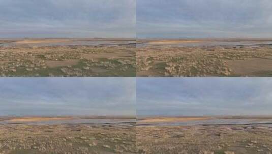 草原湿地湖泊天鹅水鸟 (1)高清在线视频素材下载