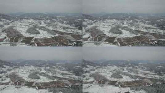 南方农田冬天雪景高清在线视频素材下载