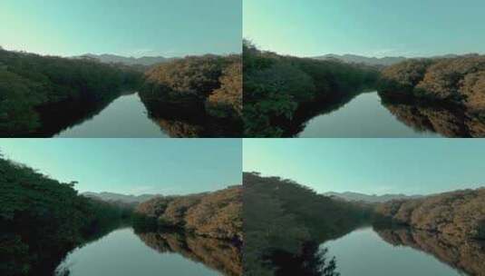 森林里的河道高清在线视频素材下载