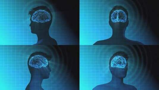 医学 大脑 脑科学 三维 脑ct1 模型高清在线视频素材下载