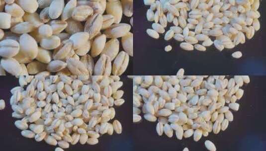 【镜头合集】大麦麦子粮食水稻五谷粗粮高清在线视频素材下载