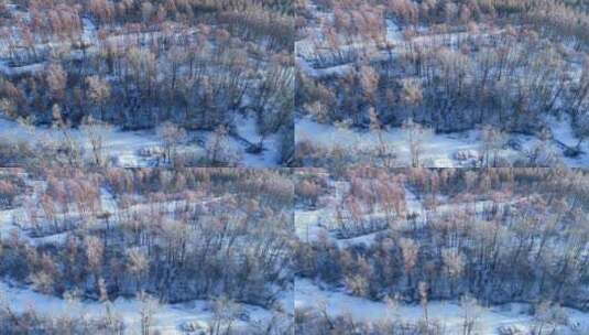 航拍森林中冰雪覆盖的河流高清在线视频素材下载