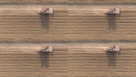 航拍俯拍芒种麦田收割机收割小麦高清在线视频素材下载